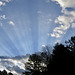 Crepuscular rays - beautiful morning sky