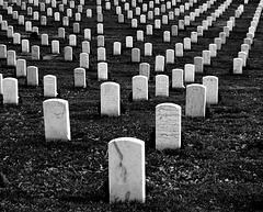 Arlington National Cemetery 5