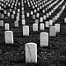 Arlington National Cemetery 5