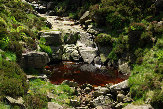 the peat stained water pool