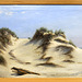 Dunes au Musée de Berck de Jan Lavezzari