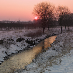 Snow sunset
