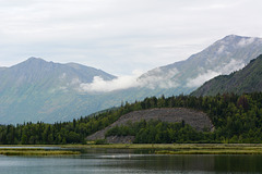 Alaska, Swans on Lake Tern and Cooper Mountains in the Background