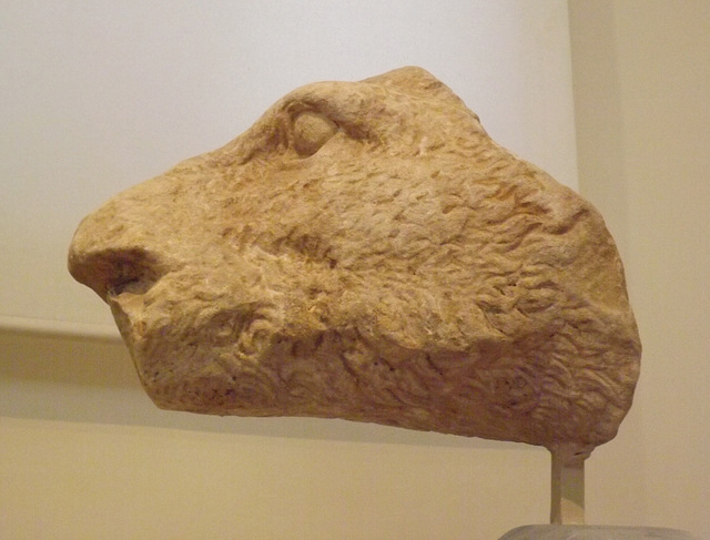 Head of a Boar from the Temple of Athena Alea in the National Archaeological Museum of Athens, May 2014
