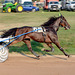 The fair begins with harness racing