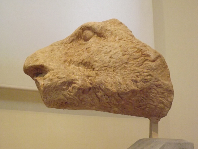Head of a Boar from the Temple of Athena Alea in the National Archaeological Museum of Athens, May 2014