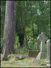 sylvan churchyard