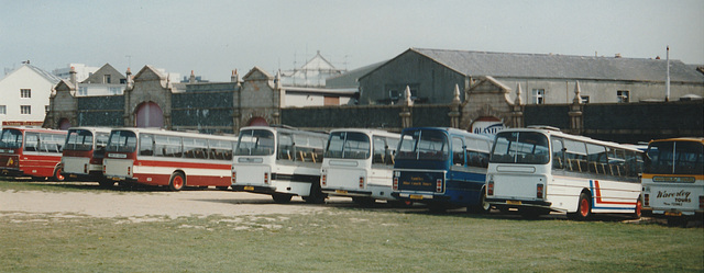 Line up of coaches at St. Helier - 4 Sep 1999