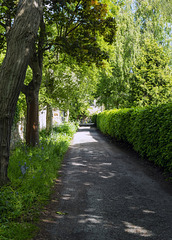 The Long Walk, St Mary's Quadrangle, University of St Andrews