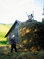 Making a haystack