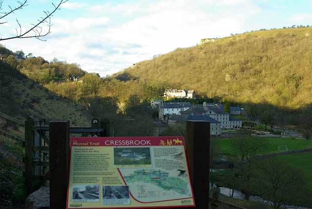 Cressbrook from  the Monsal Trail