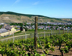 Blick auf Kloster Kalvarienberg und Ahrweiler