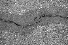 Scavenger Hunt 2020: 23 Sidewalk pavement crack