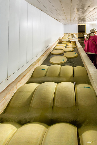 Regionale Parmesan-Produktion