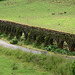 Azores, Island of San Miguel, Coal Aqueduct  in the Caldera of Cete Citades