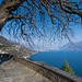 Aussicht von Ronco sopra Ascona (© Buelipix)