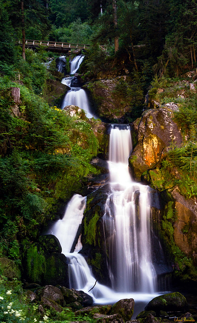 Triberger Wasserfälle (PiP)