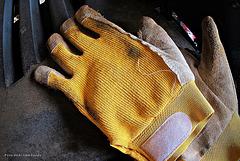 worn gloves