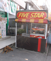 Chien 5 étoiles / Five star dog