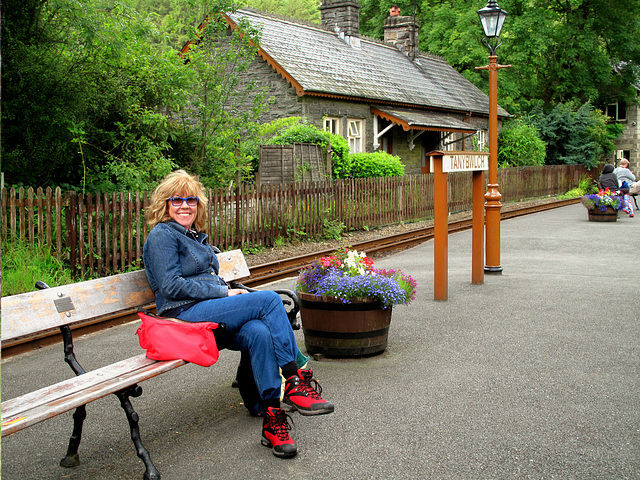 Trenau bach arbennig Cymru - Rheilffordd Ffestiniog  - Tan Y Bwlch