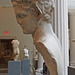 Head and Back of a Marble Satyr in the Metropolitan Museum of Art, May 2012