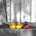 rubber ducks on tour (1)