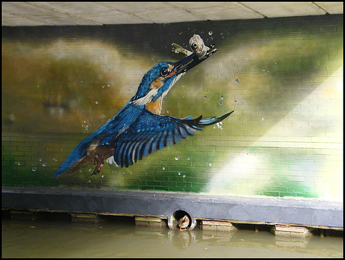 Richard Wilson kingfisher mural
