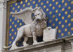 Another Venetian Lion