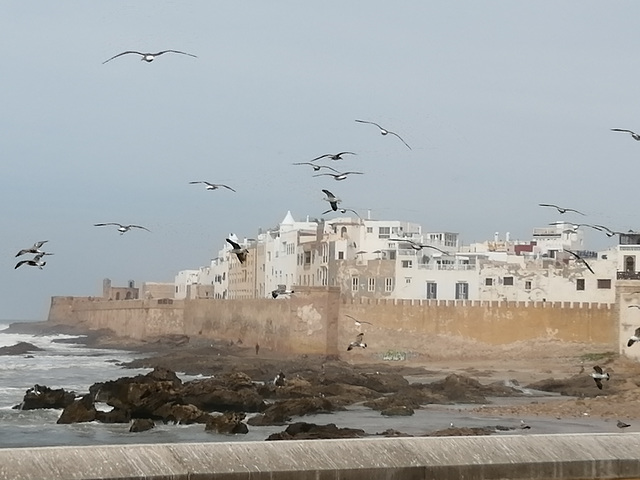 Essaouira 2020