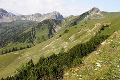 Bergwelt im Tannheimer Tal