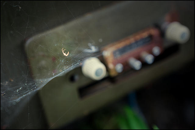 radio spider