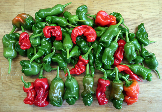 'Peter' peppers