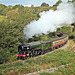 Peppercorn class A1 60163 TORNADO climbing past Darnholme with the 09.31 Grosmont - Pickering service NYMR 25th September 2021.
