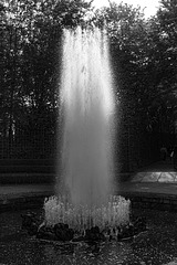 Versailles : Dans le bosquet des 3 fontaines