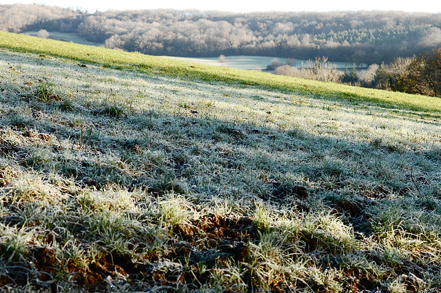 Frost Over The Limpley Stoke Valley