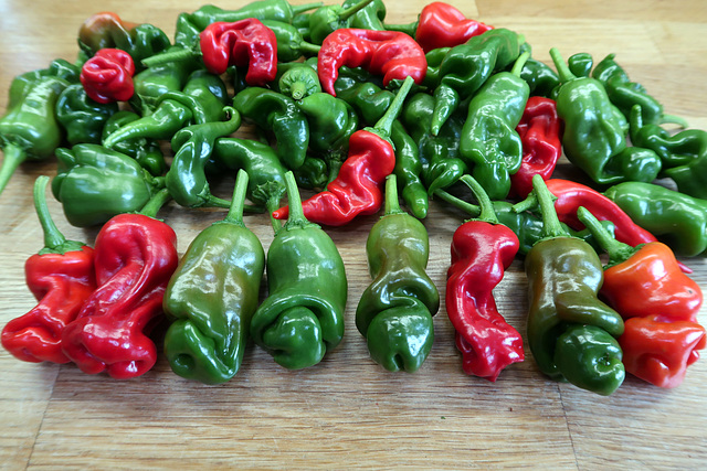 'Peter' peppers
