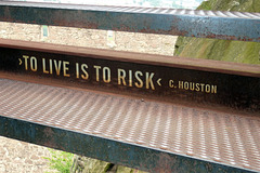 To Live is to Risk
