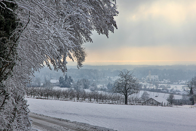 Winter in Oberschwaben  (PIP + note)