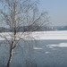 Blick über Steinberger See