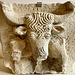 Ancona 2024 – Museo Archeologico Nazionale delle Marche – Fragment of a funerary monument
