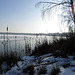 Winterspaziergang am Steinberger See