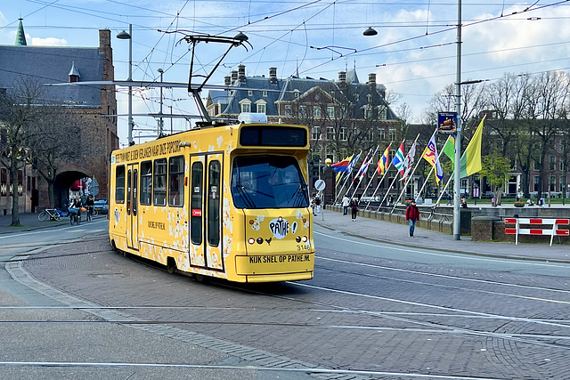HTM Tram 3146 on the Buitenhof