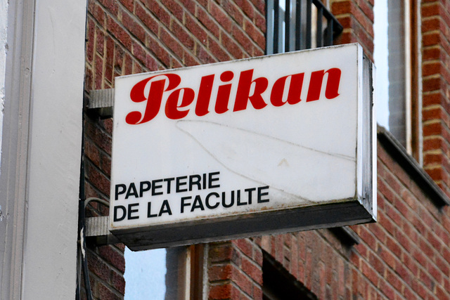 Bergen 2015 – Pelikan