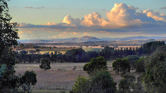 Evening light on the flats