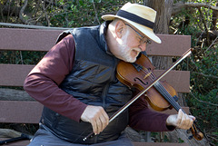 Fiddler on the bench