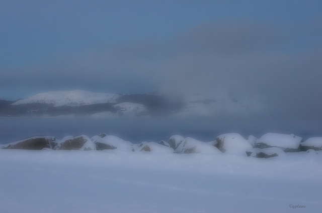 Barentssee-Nebel