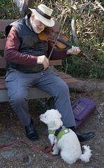Fiddler and his dog