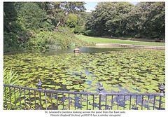 St Leonard's Gardens view across the pond from the East 12 8 2023