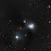 Corona Australis Nebula  NGC 6729- Better looked full screen