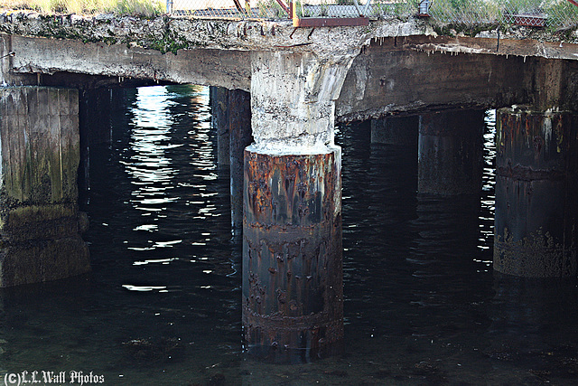Under the Old Eastport Dock